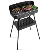 Fritel BBQ 2246
