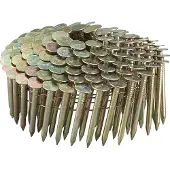 Makita Accessoires Draadnagel 3,1x75mm - F-31298
