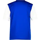 Adidas Functioneel shirt 'Estro 19' royal blue/koningsblauw / wit
