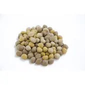 Jack doggies Jack Jackers 10 kg