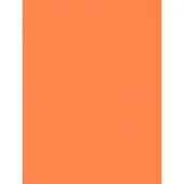AS-Creation ORANJE UNI BEHANG - AS Creation X-Ray