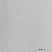Scandia Deco-Vlies Pré Painted Glasvlies - Glasweefselbehang - Glasvezelbehang - 1370