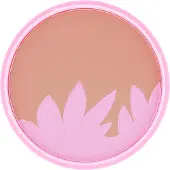 Maybelline Terre Indienne 08 Bronzed Paradise