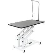 vidaXL Hydraulisch verstelbare trimtafel met aanlijnoptie