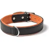Karlie Rondo Riveted Hondenhalsband