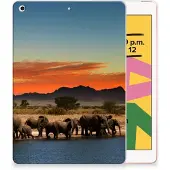 B2Ctelecom Apple iPad 10.2 | iPad 10.2 (2020) | 10.2 (2021) Back Case Olifanten