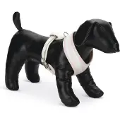 Beeztees BZ PUPPY BORSTTUIG FILANA L RZE
