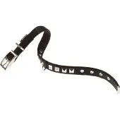 Ferplast Dual 20 Mm 43 Cm Hondenhalsband