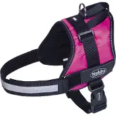 Nobby safety tuig seguro framboos - 82-110 cm