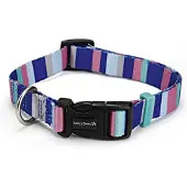 Beeztees Stripes - Halsband Hond - Multi - 48-70 cm