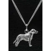 MOOYE ® - Collectie Zilveren Curly coated retriever ketting hanger - groot