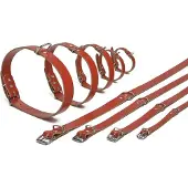 Beeztees - Halsband Hond - Leer - Rood - 37,5-46,5 cm x 20 mm