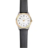 Regent Herenhorloge F-687