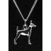 MOOYE ® - Collectie Zilveren Amerikaanse toy terrier ketting hanger - groot