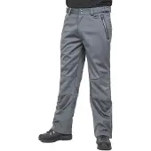 Dlx Holloway Broek Grijs 2XS Man