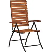 vidaXL 2 st Tuinstoelen verstelbaar massief acaciahout