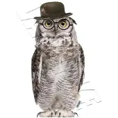 VAN IKKE Muursticker Mr. Uil