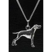 MOOYE ® - Collectie Zilveren Pointer ketting hanger - groot