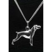 MOOYE ® - Collectie Zilveren Duitse staander korthaar ketting hanger - groot