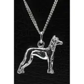 MOOYE ® - Collectie Zilveren Chinese naakthond ketting hanger - groot