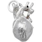 MOOYE ® - Collectie Zilveren Hart anatomie groot kettinghanger