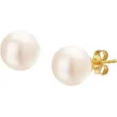 Selected Jewels The Jewelry Collection Oorknoppen Parel - Goud