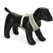 Beeztees Puppy Bronda - Hondentuig - Grijs - L