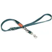 Beeztees BZ NY LEASH UNI DUNK GRUN (Hond, Hondensport)