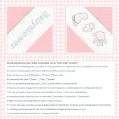 Haza servetten babyshower meisje quiz 20 stuks