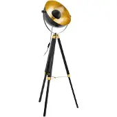 Eglo vloerlamp Covaleda