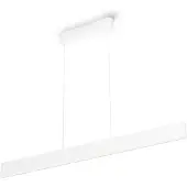 Philips Hue Ensis hanglamp White & Color Zwart