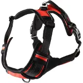 Flamingo Harnas hond – honden tuigje – harnas hond anti trek – hondentuigjes – hondentuig anti trek – Balou – rood – maat XL – A:46-76cm B:80-105cm