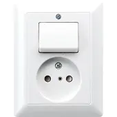 JUNG Wandcontactdoos Met Wisselschakelaar - Inbouw - Wit
