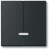 Busch-Jaeger Schakelelement/Centrale Plaat - 2CKA006599A2969