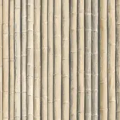 Praxis Vliesbehang bamboe beige G67940
