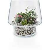 Eva Solo Succulent Vaas Transparant 21 cm