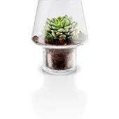 Eva Solo Succulent Vaas Transparant 15 cm