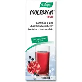 A.Vogel 2x Molkosan Fruit 500 Ml