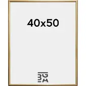 Walther design KP050G Wissellijst Papierformaat: 40 x 50 cm (b x h) 40 cm x 50 cm Goud