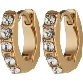 Elli Oorbellen goud / transparant