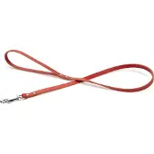 Beeztees Geniet - Hondenriem - Rood - Leer - 1 meter - 12 mm