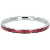 Ixxxi Vulring Zirconia Light Siam Zilver