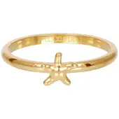Ixxxi Vulring Symbol Sea Star Goud