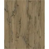 Dutch Wallcoverings Odyssee hout bruin L860-18