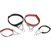 Beeztees - Halsband Hond - Nylon - Zwart - 45-70 cm x 25 mm