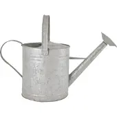 Pflanzen-Kölle Oud zink gieter 6,6 liter