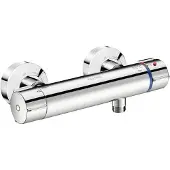 Delabie Securitherm Biosafe Thermostatische Douchemengkraan S/C-Kop