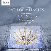 Sonic Path Of Miracles, Footsteps