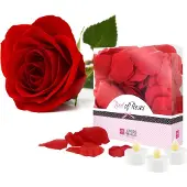 Lovers Premium LoversPremium Bed of Roses - Rood -