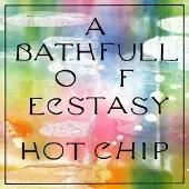 Hot-chip - A Bath Full of Ecstasy (2 LP)